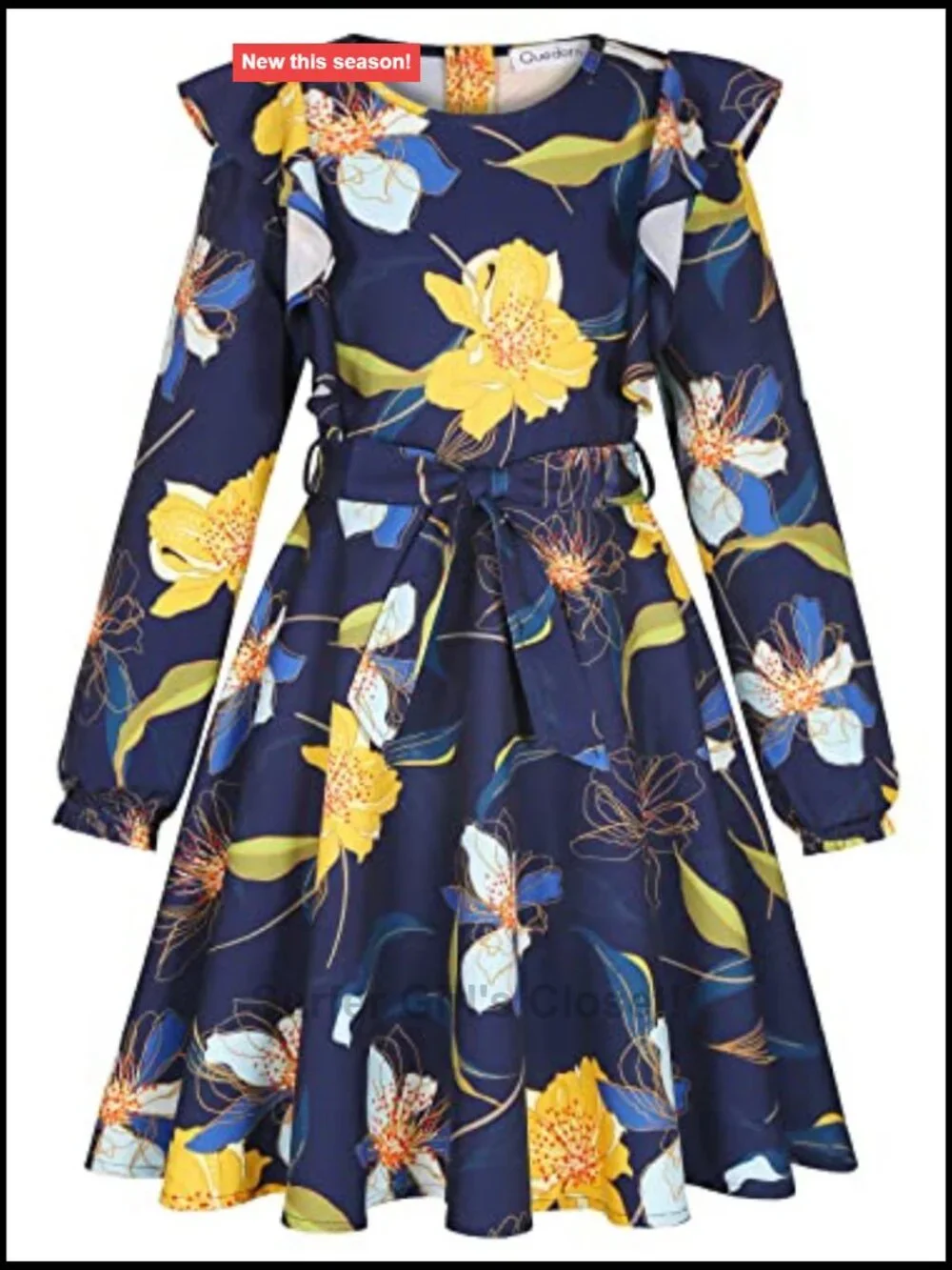 Ruffle Trim A-line Swing Dress with Belt